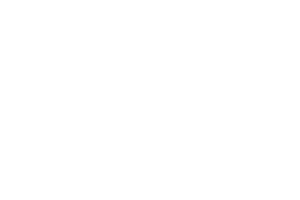 Salsa Logo